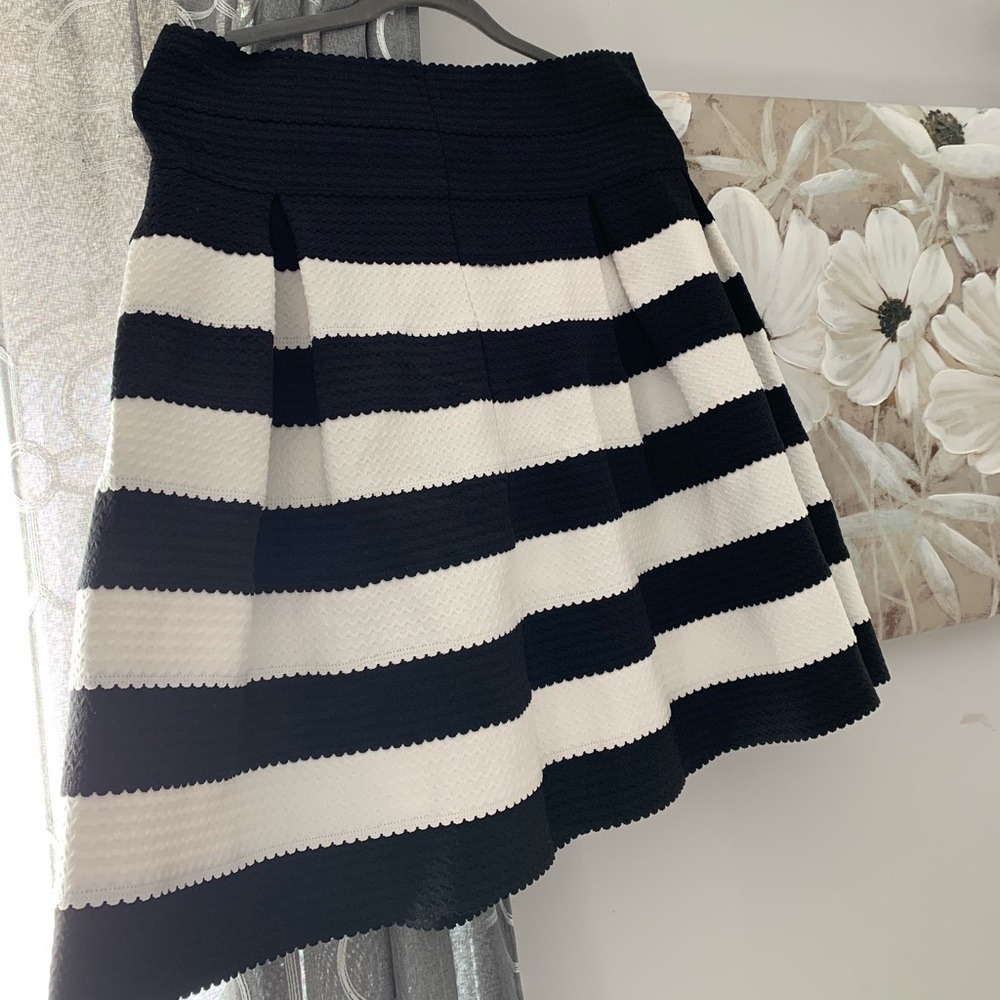 Ann Taylor skirt